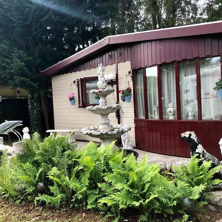 Retro Relax Resort Midden In Het Bos Op De Veluwe In プッテン エクステリア 写真