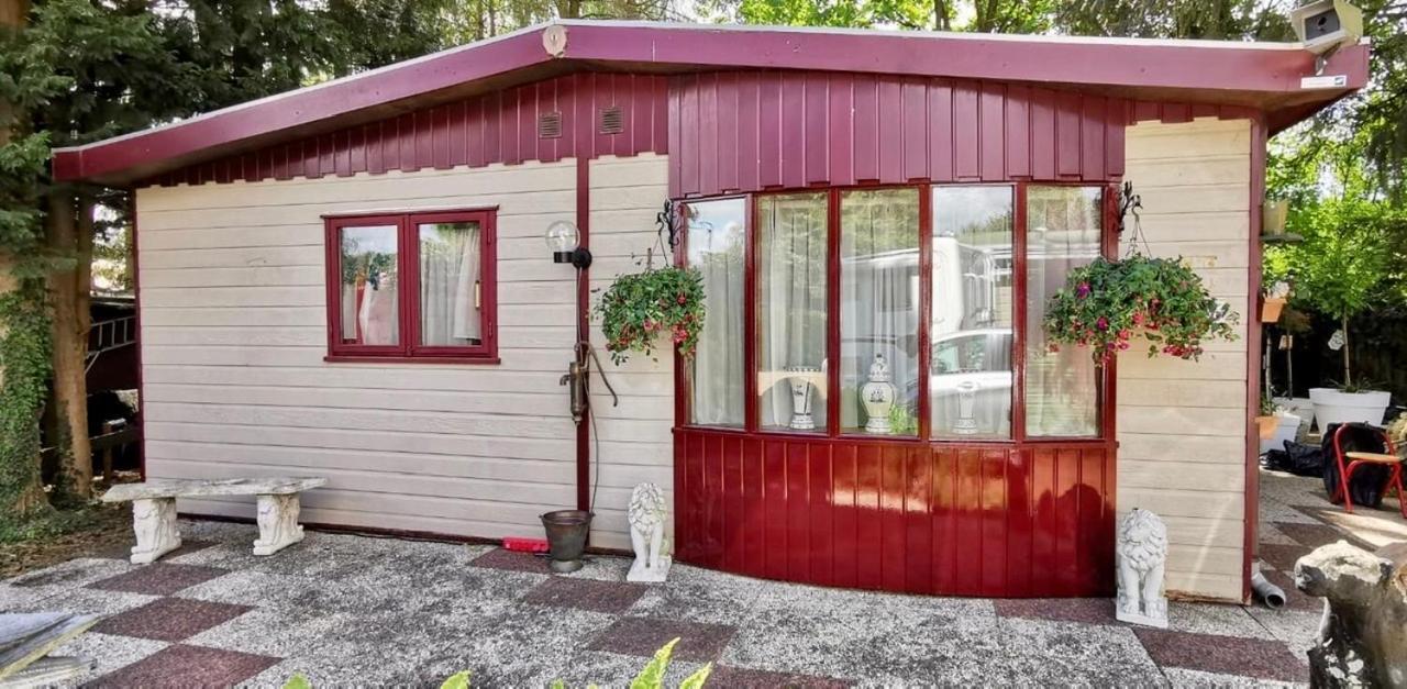 Retro Relax Resort Midden In Het Bos Op De Veluwe In プッテン エクステリア 写真