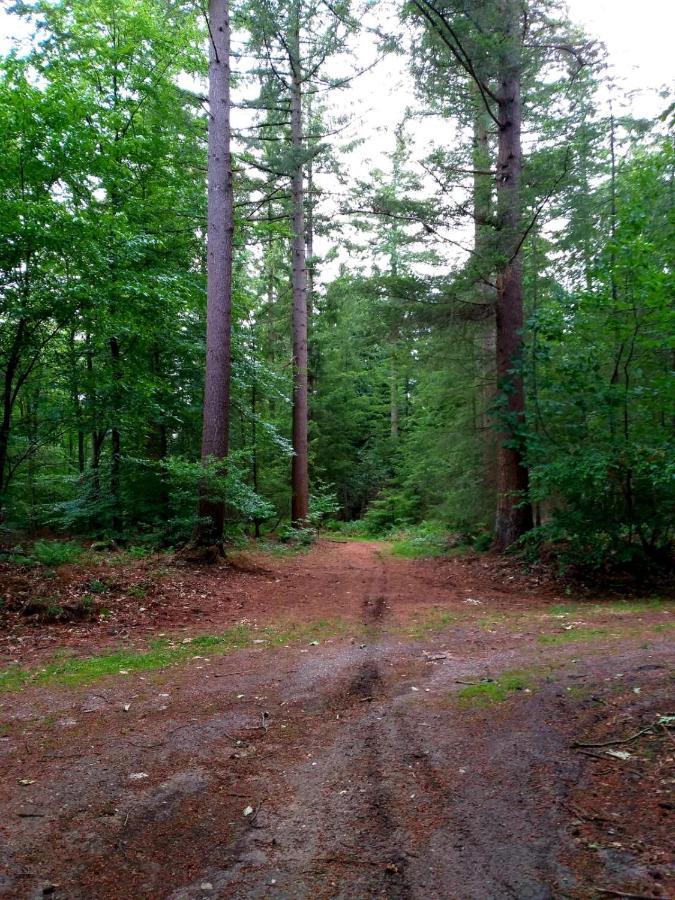 Retro Relax Resort Midden In Het Bos Op De Veluwe In プッテン エクステリア 写真